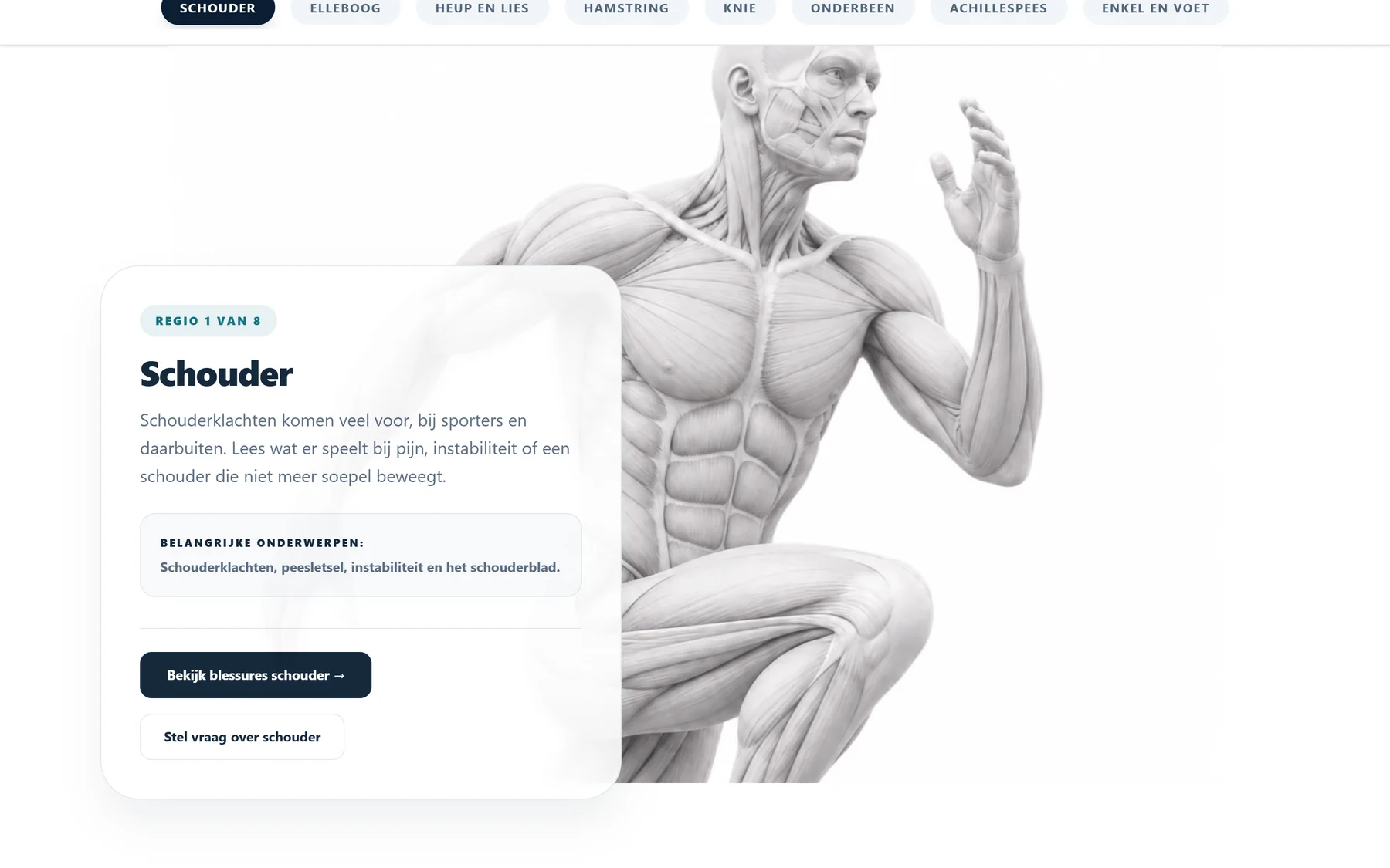 De blessurewijzer met het anatomische model en de acht lichaamsregio's